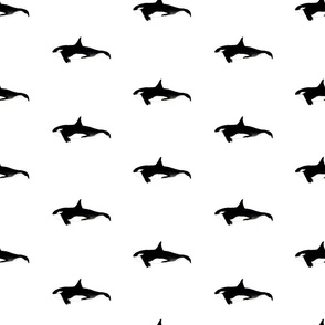 Orca Whales