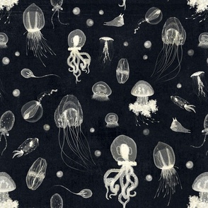 Jellyfish - cream on midnight (medium)