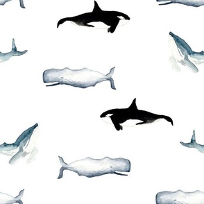 Watercolor Whales