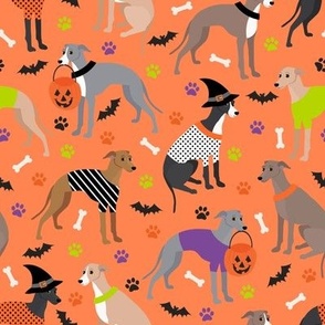 Halloween Italian Greyhound Orange