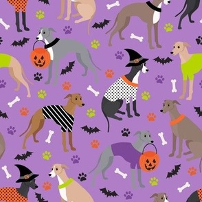 Halloween Italian Greyhound Purple