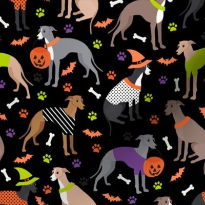 Halloween Italian Greyhound Black