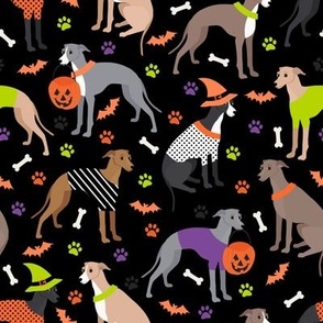 Halloween Italian Greyhound Black