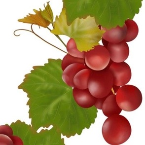 Red grapes 