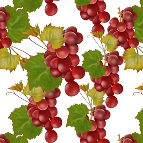 Red grapes 