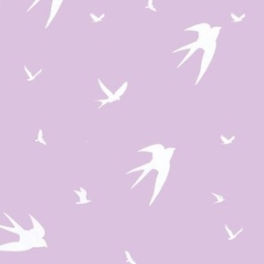 Birds swallows on pink background