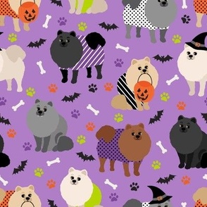 Halloween Pomeranian Purple