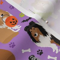 Halloween Shetland Sheepdog Sheltie Purple