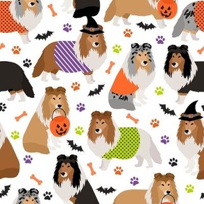 Halloween Shetland Sheepdog Sheltie White