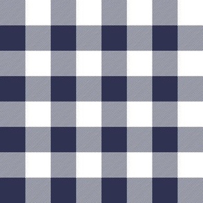 2165 small - Gingham Buffalo Check Dusk and White