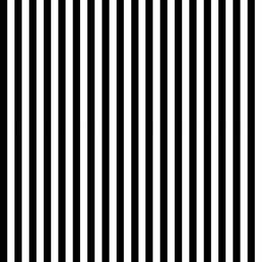 0.5 in b_w stripe