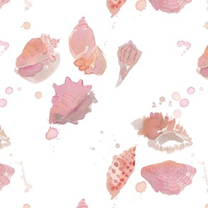 Sea Shells Scatter with Splashes