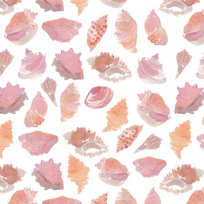 Sea Shells