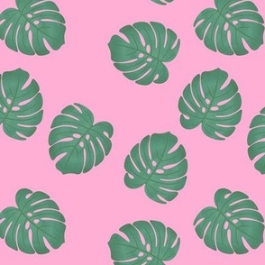 Monstera Leaves with Pink Background