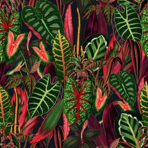 Red Tropics