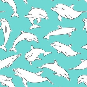 dolphins on teal