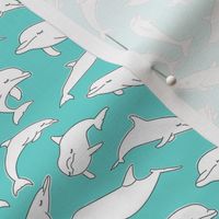 tiny dolphins on teal