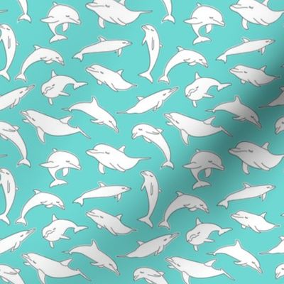 tiny dolphins on teal