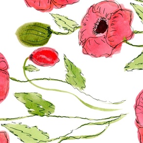 Red Watercolor Poppies rotated