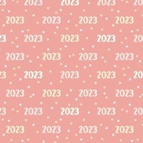 2023 with Stars on Pink (Small Scale)