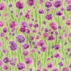 Purple Wildflower Field