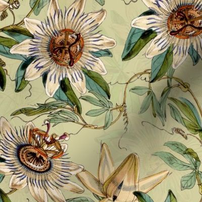 vintage tropical passionflowers, antique green leaves and nostalgic beautiful blossoms   Tropical jungle fabric, - sepia green  double layer Fabric