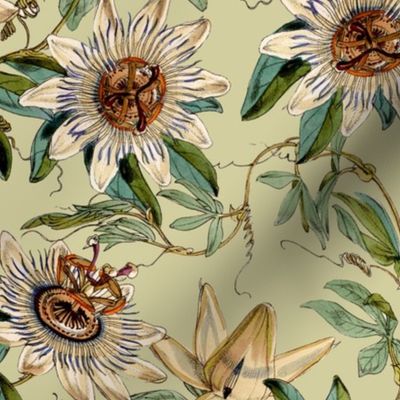 vintage tropical passionflowers, antique green leaves and nostalgic beautiful blossoms   Tropical jungle fabric, - sepia green