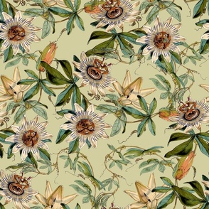 vintage tropical passionflowers, antique green leaves and nostalgic beautiful blossoms   Tropical jungle fabric, - sepia green