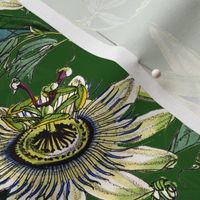 vintage tropical passionflowers, antique green leaves and nostalgic beautiful blossoms   Tropical jungle fabric, - dark green  double layer Fabric