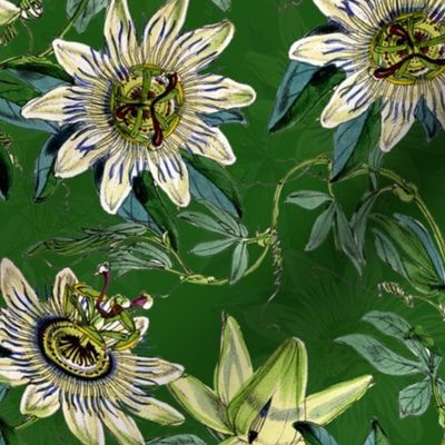 vintage tropical passionflowers, antique green leaves and nostalgic beautiful blossoms   Tropical jungle fabric, - dark green  double layer Fabric
