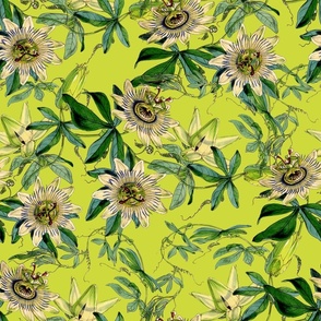 vintage tropical passionflowers, antique green leaves and nostalgic beautiful blossoms   Tropical jungle fabric, - lemon green Fabric