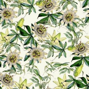vintage tropical passionflowers, antique green leaves and nostalgic beautiful blossoms   Tropical jungle fabric, - off white Fabric