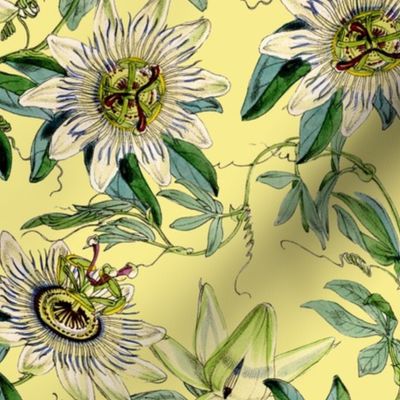 vintage tropical passionflowers, antique green leaves and nostalgic beautiful blossoms   Tropical jungle fabric, - sunny yellow Fabric
