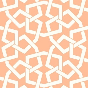 Ikatan Modern Lattice Peach Fuzz Pantone Color of the Year 2024