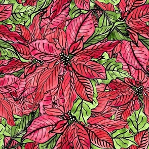 Jumbo Poinsettias, Ink and Watercolor