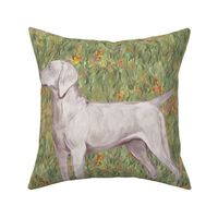Weimaraner with Docked Tail in Wildflower Field for Pillow