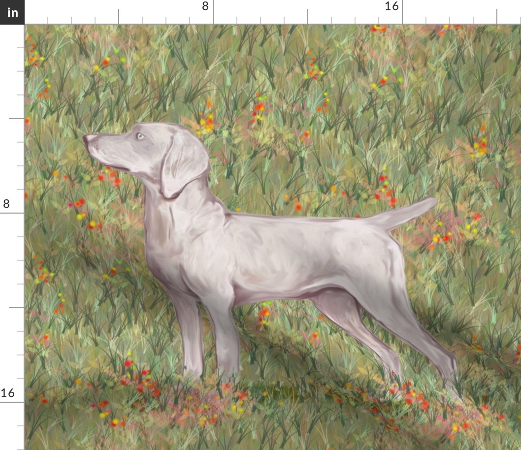 Weimaraner with Docked Tail in Wildflower Field for Pillow