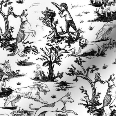 Small Dog Park Toile de Jouy, Black on White