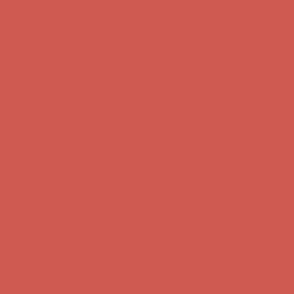 Raspberry Blush COTY Solid Color cf5a52 Benjamin Moore Color of the Year 2023