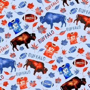 Football Season in Buffalo - Blue