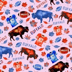 Football Season in Buffalo - Pink