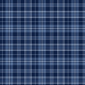 Tartan (Navy) - Medium Scale