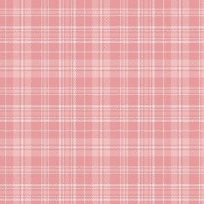 Tartan (Pink) - Medium Scale