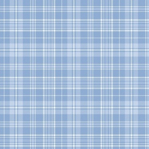 Tartan (Soft Blue) - Medium Scale