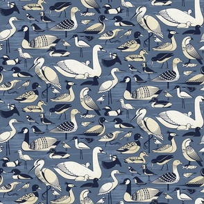 Water Birds - Kashmir Blue