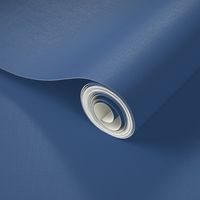 Sapphire Blue Solid Unprinted - Hex 375683