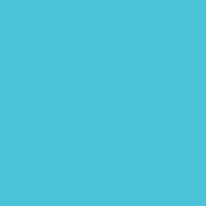 Baby Blue Solid Unprinted - Hex 4CC2D6
