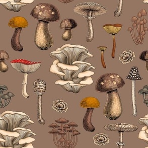 Wild Mushrooms  on mocha brown