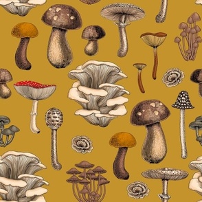 Wild Mushrooms  on mustard