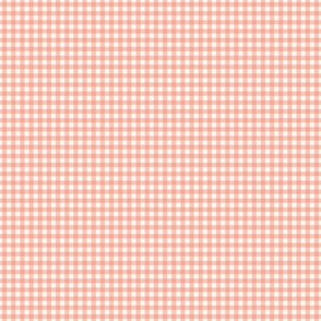 Mini Micro Salmon Pink Gingham